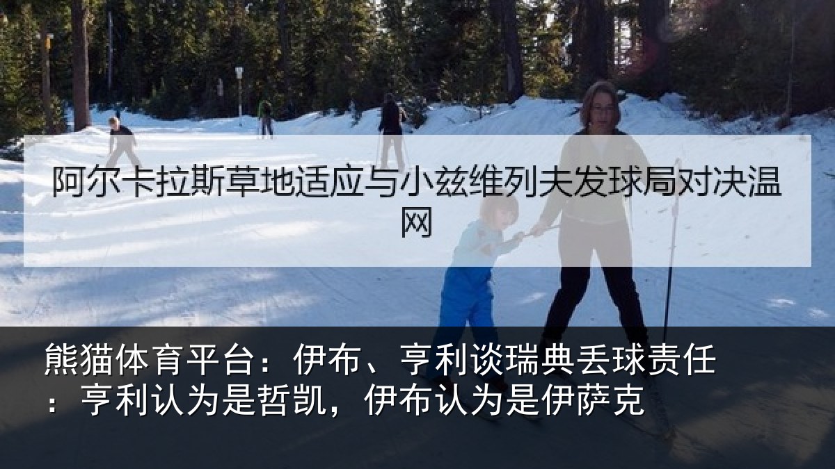 熊猫体育平台:伊布相关情况任亨相关情况认为是伊萨克