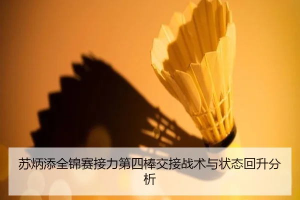 苏炳添全锦赛接力第四棒交接战术与状态回升分析