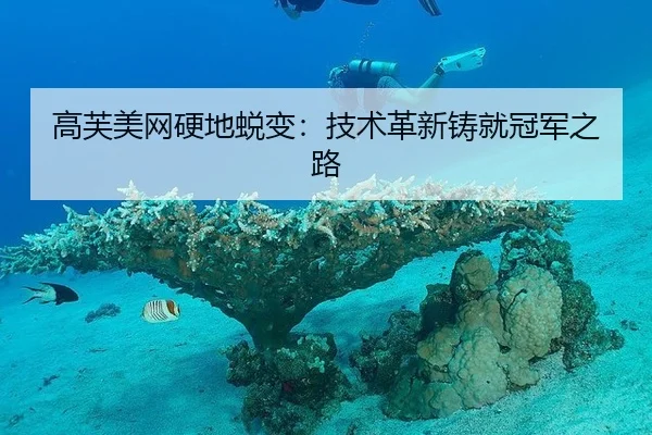 高芙美网硬地蜕变：技术革新铸就冠军之路